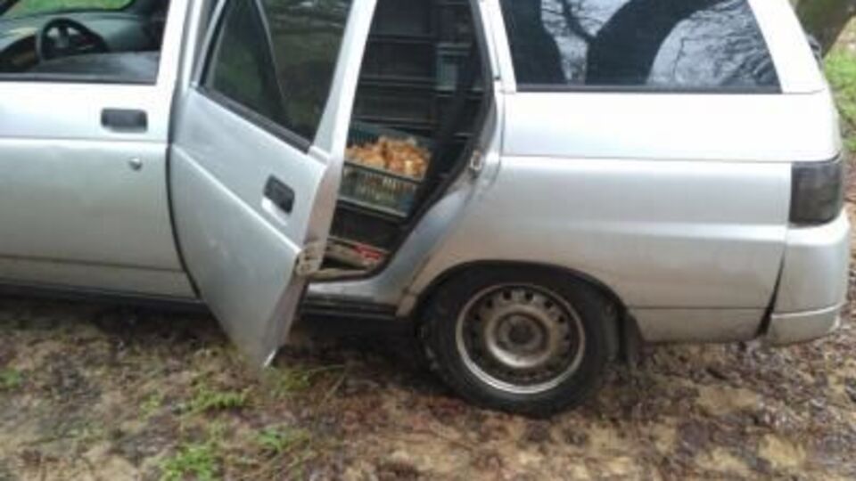 Жінка намагалася вивезти каченят на не підконтрольну Україні територію