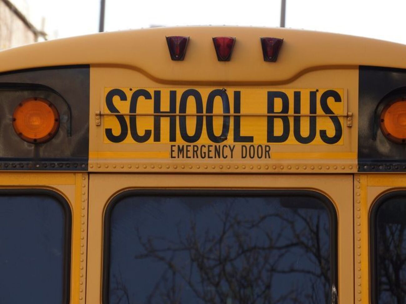 Автобус урізався в дерево через оленя