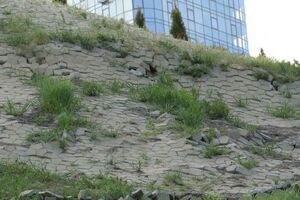 Одеса перебуває в зоні ризику через забудову прибережної зони, уважає депутат