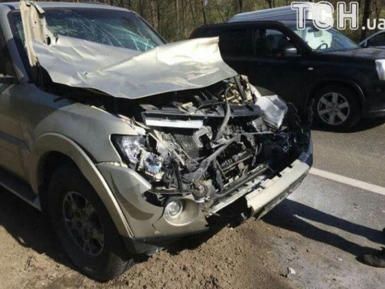 Боксер в результате ДТП не пострадал