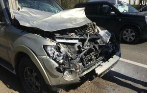 Боксер в результате ДТП не пострадал