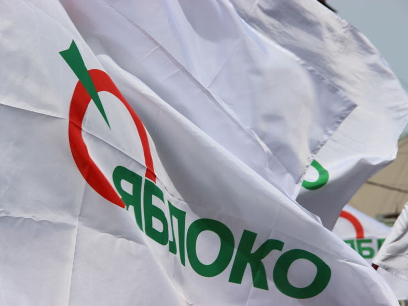 На активистку "Яблока" напали