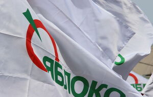 На активистку "Яблока" напали