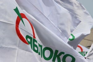 На активистку "Яблока" напали