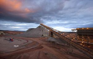 Заборону введено з метою захисту довкілля