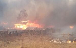 Из-за сильного порыва ветра огонь вышел из-под контроля и перекинулся на строения