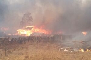 Через сильний порив вітру вогонь вийшов з-під контролю та перекинувся на будівлі