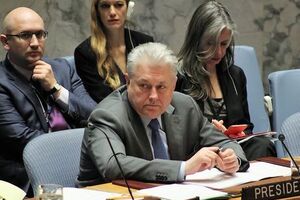 Ельченко: Поражает отсутствие конкретных действий со стороны ООН