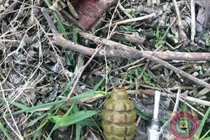 Боєприпаси знайшли поліцейські