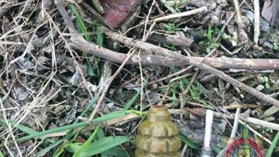 Боєприпаси знайшли поліцейські