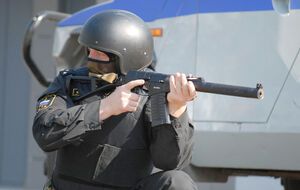 Росгвардія повідомила про ліквідацію злочинців