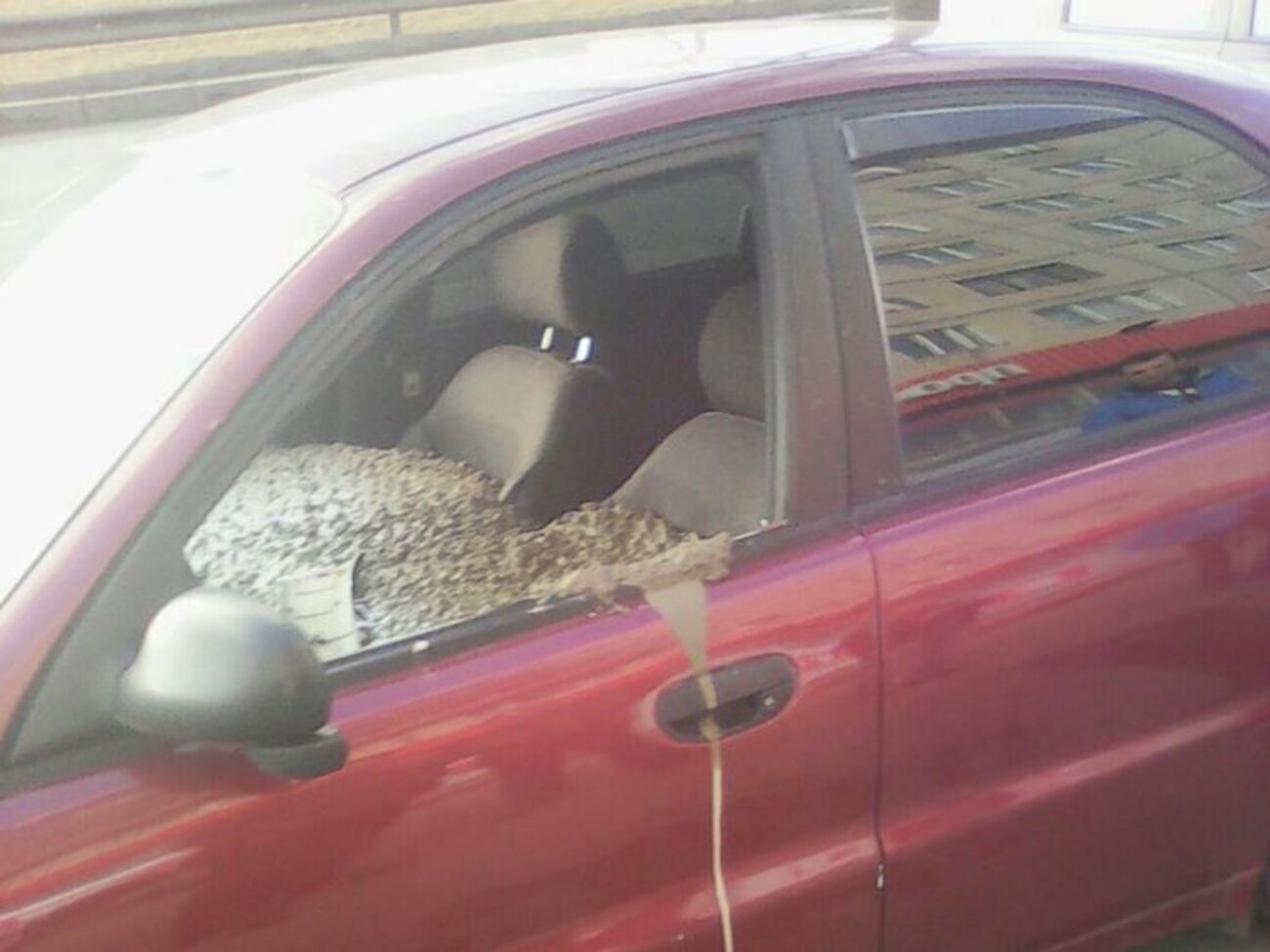 Муж наказал жену за "фамильную" неверность