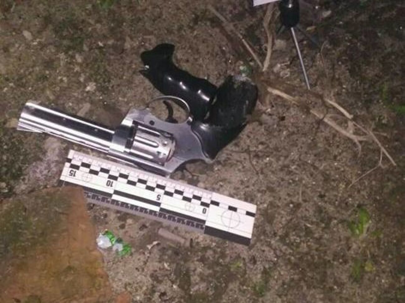 Неподалеку от места происшествия патрульные нашли оружие, из которого, вероятно, были совершены выстрелы