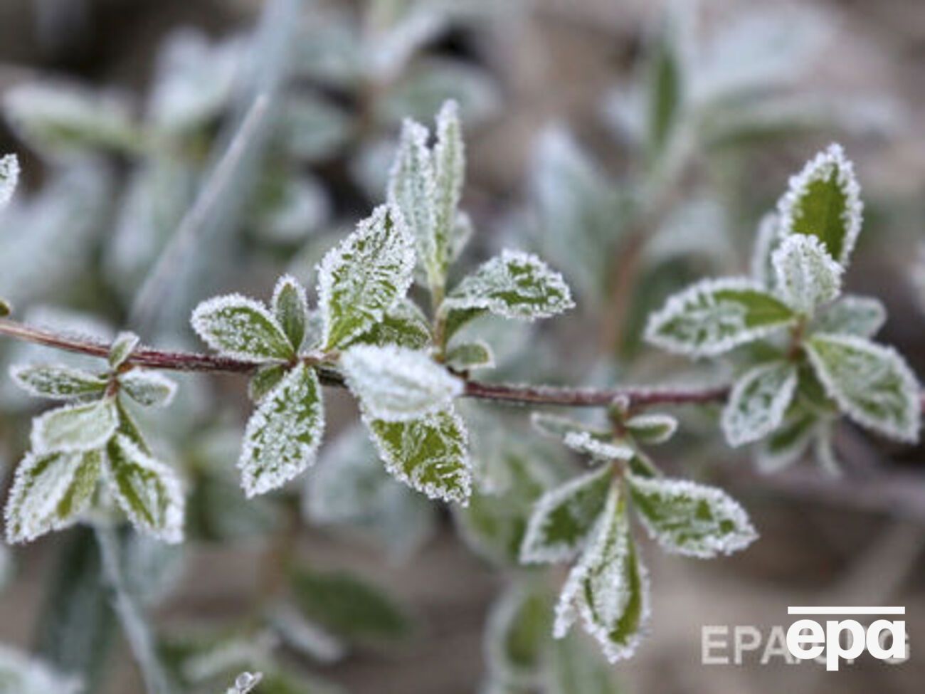 10 квітня заморозки очікуються у всій Україні
