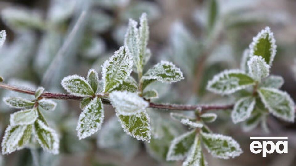 10 квітня заморозки очікуються у всій Україні