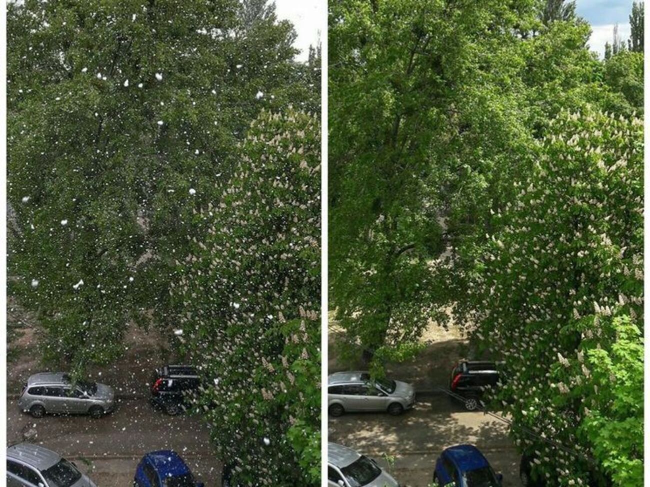 Користувачі соцмереж публікують фотографії снігу в Києві