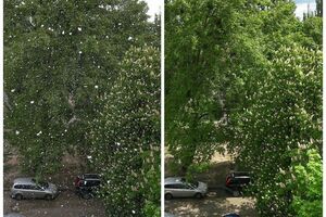 Користувачі соцмереж публікують фотографії снігу в Києві