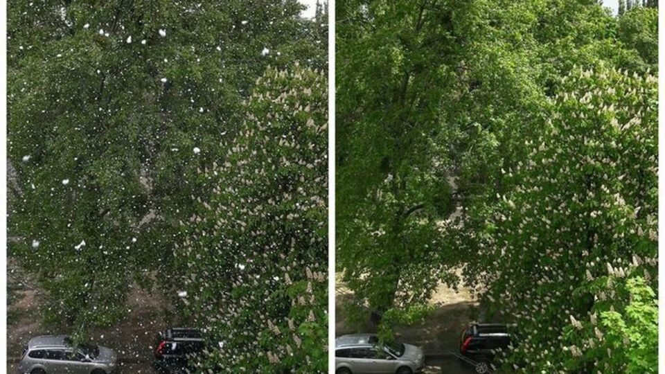 Пользователи соцсетей публикуют фотографии снега в Киеве