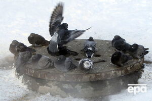 Травневі холоди в Україні