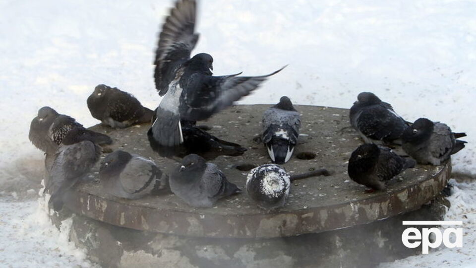 Травневі холоди в Україні