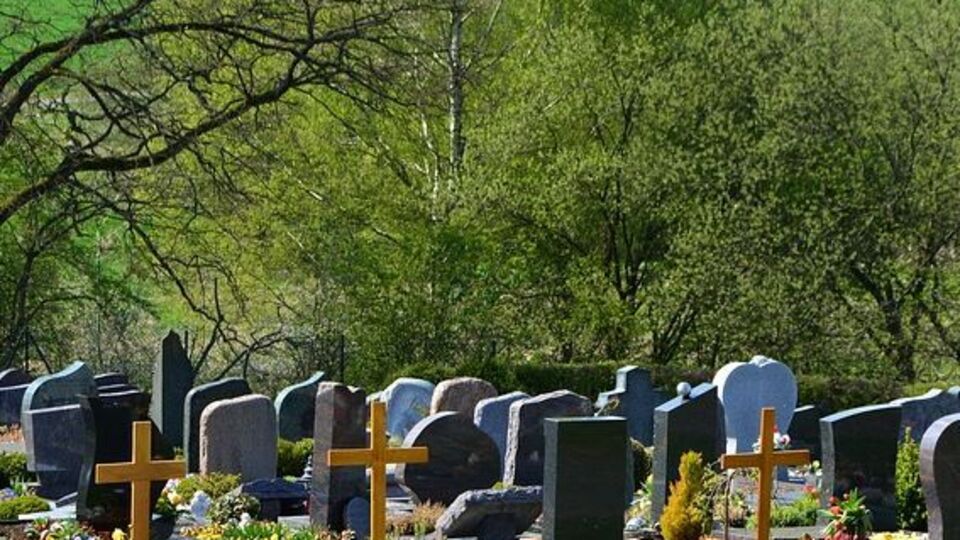 Знайти місце поховання у базі даних можна за прізвищем, іменем, датою народження та смерті