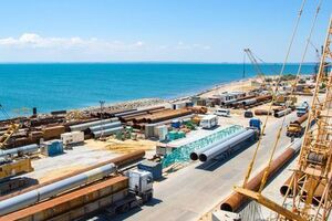 Спорудження Керченського мосту загрожує екологічною катастрофою