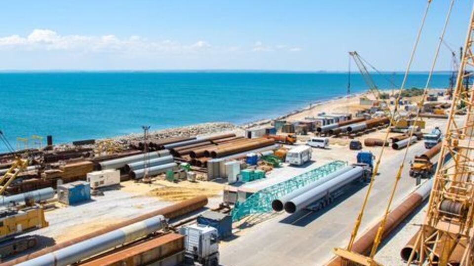 Спорудження Керченського мосту загрожує екологічною катастрофою