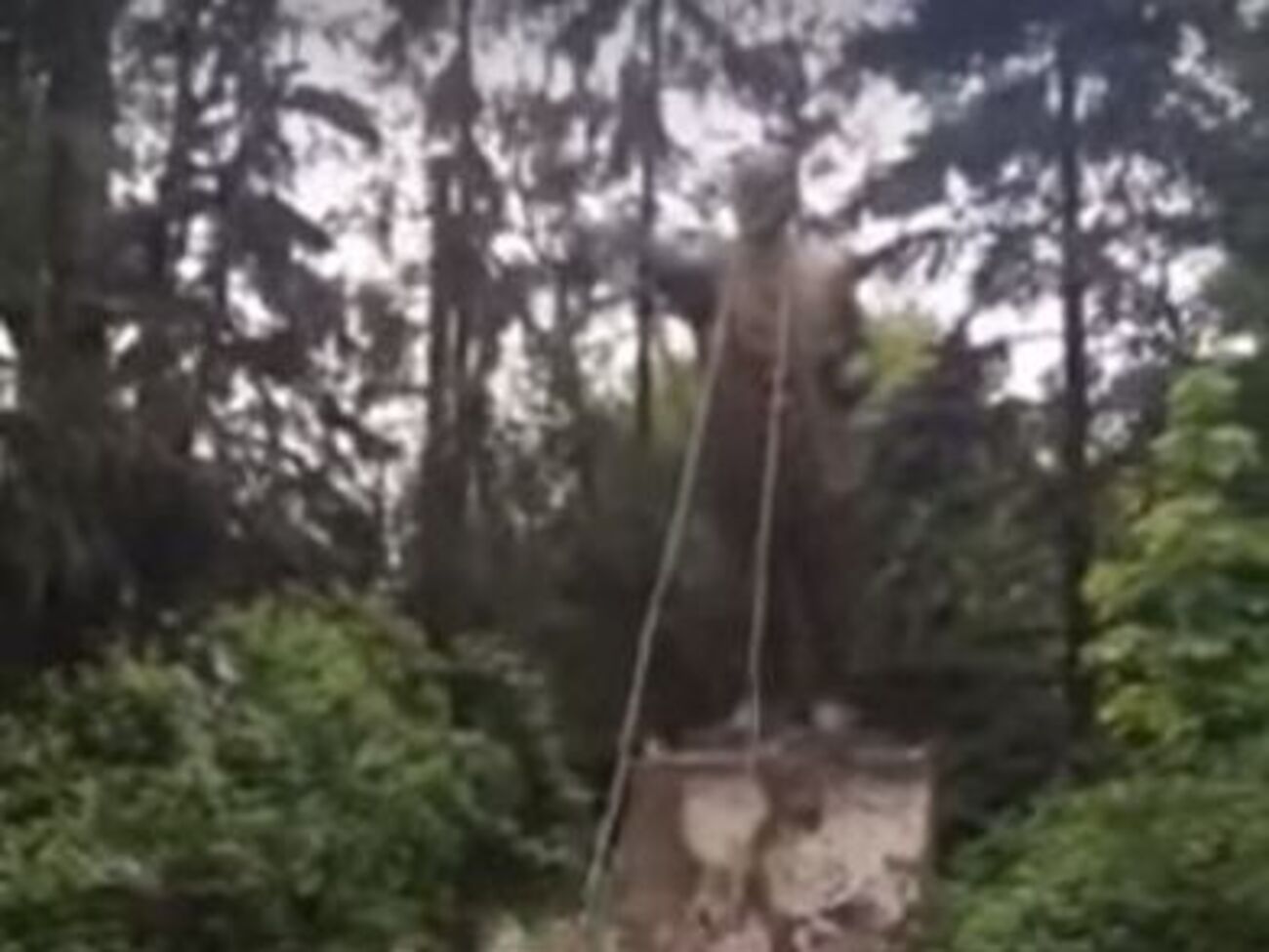 Пам'ятник був на вулиці Козацькій у Голосіївському районі