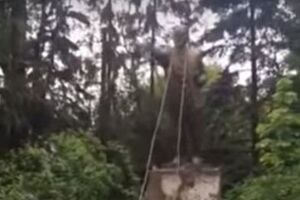Памятник находился на улице Козацкой в Голосеевском районе
