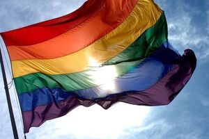 Вопрос чеченских гомосексуалов поднимался как в формате ЕС, так и в парламентских структурах Совета Европы