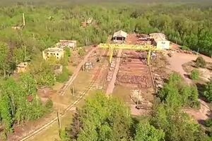 Фірма дружини чиновника Нацполіції нелегально виробляє деревину в Чорнобильській зоні