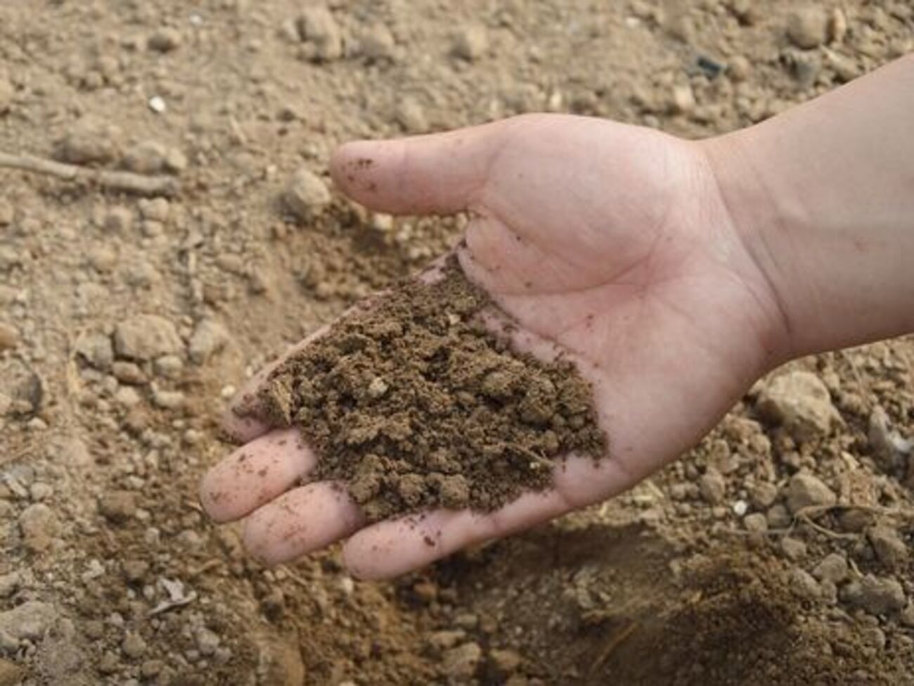 Україна відновила мита на російські добрива