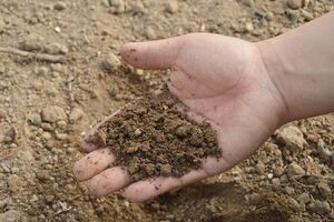 Украина вообновила пошлины на российские удобрения