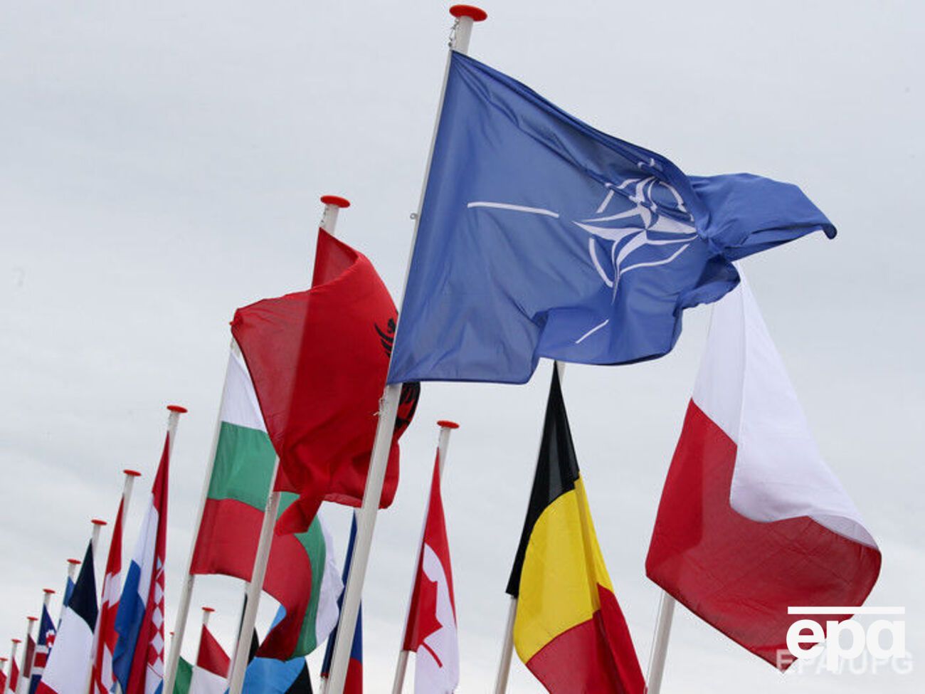 Албания, Босния, Хорватия, Косово, Македония, Черногория, Словения и Сербия в 1990 годах пережили схожие травмы, напоминает автор