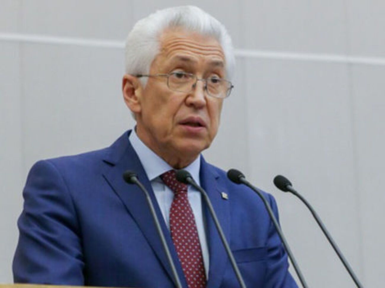 Васильєв порадив представникам іноземних організацій "спочатку вивчити російське законодавство та з повагою до нього ставитися"