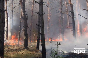 Киян попередили про високу пожежонебезпеку