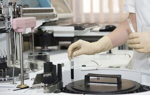 Вирус Зика может замедлить рост глиобластомы