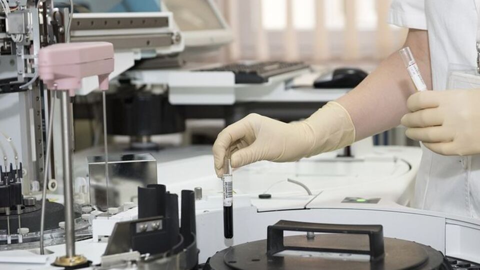 Вирус Зика может замедлить рост глиобластомы