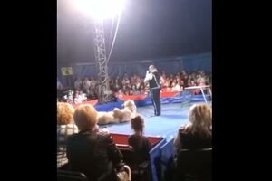 У Білій Церкві дресирувальник не втримав ведмедя