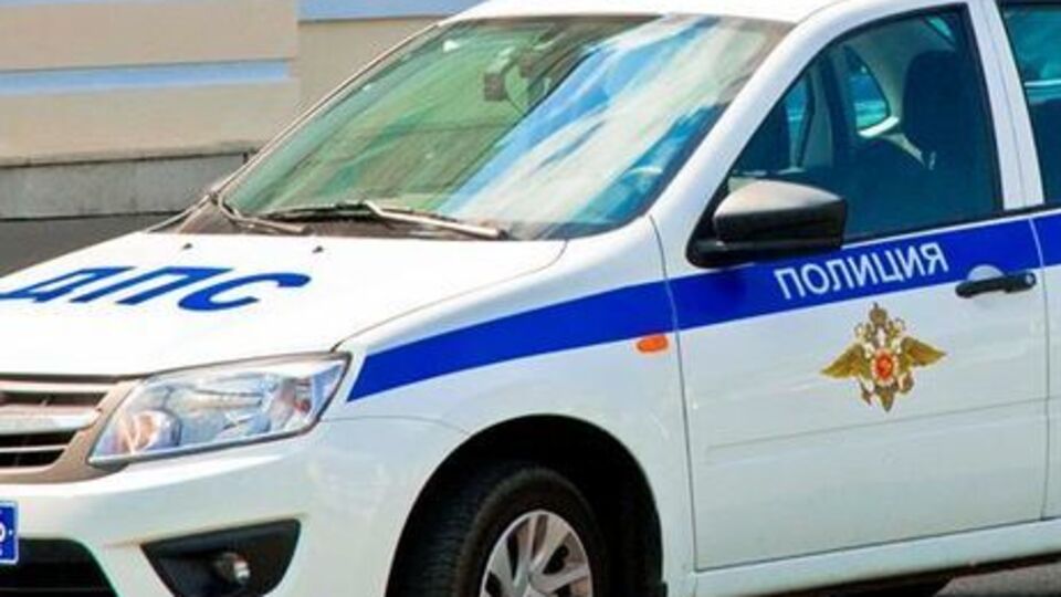 Вечером 26 мая полицейские задержали в Москве мальчика, который декламировал стихи