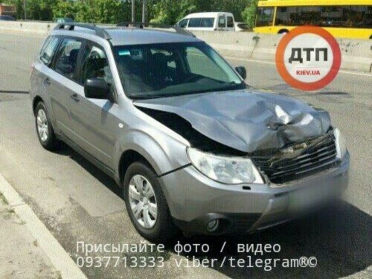 Оленя перестрибнуло через відбійник у Києві та потрапило під колеса авто