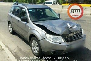 Олененок перепрыгнул через отбойник в Киеве и попал под колеса авто