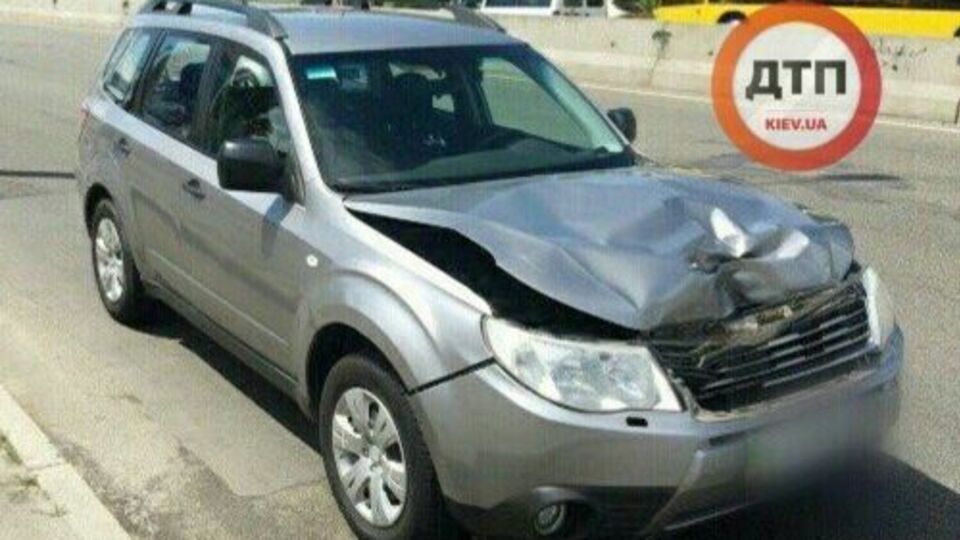 Оленя перестрибнуло через відбійник у Києві та потрапило під колеса авто