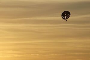 Команда парашутистів виконувала демонстраційні стрибки у Нью-Йорку, в одного з військових виявилося несправним спорядження