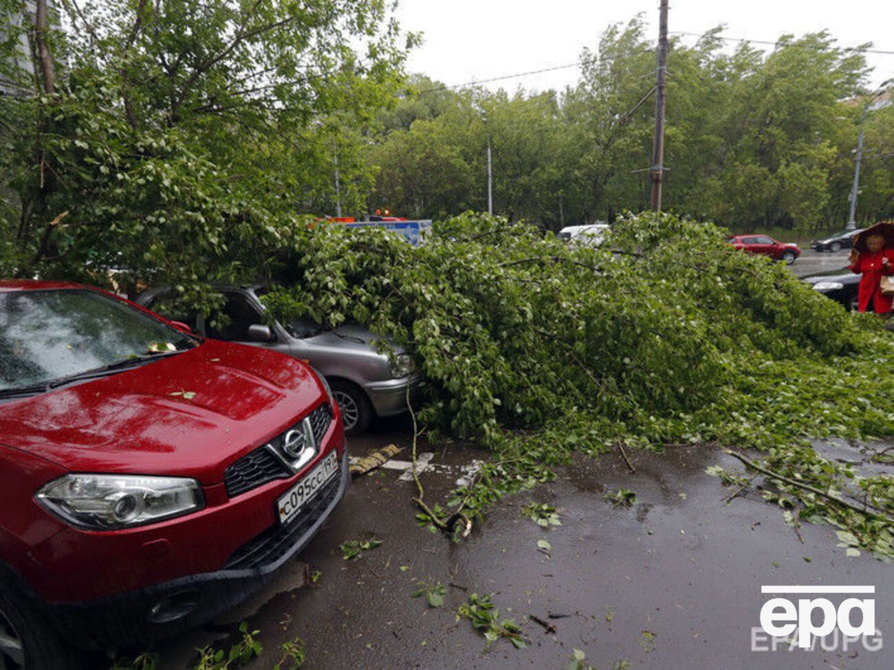 Повалені дерева стали причиною загибелі та травмування жителів Москви і області