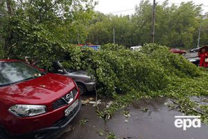 Повалені дерева стали причиною загибелі та травмування жителів Москви і області