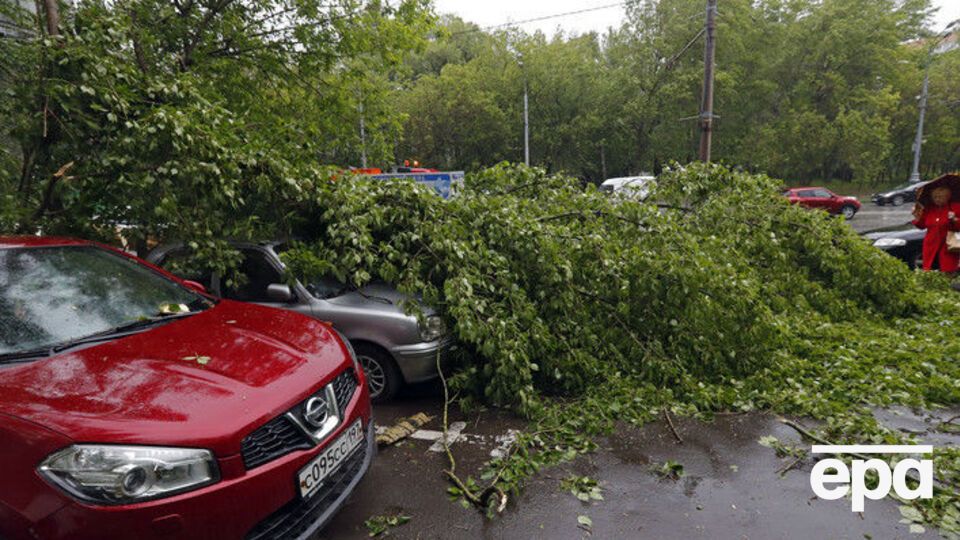 Повалені дерева стали причиною загибелі та травмування жителів Москви і області