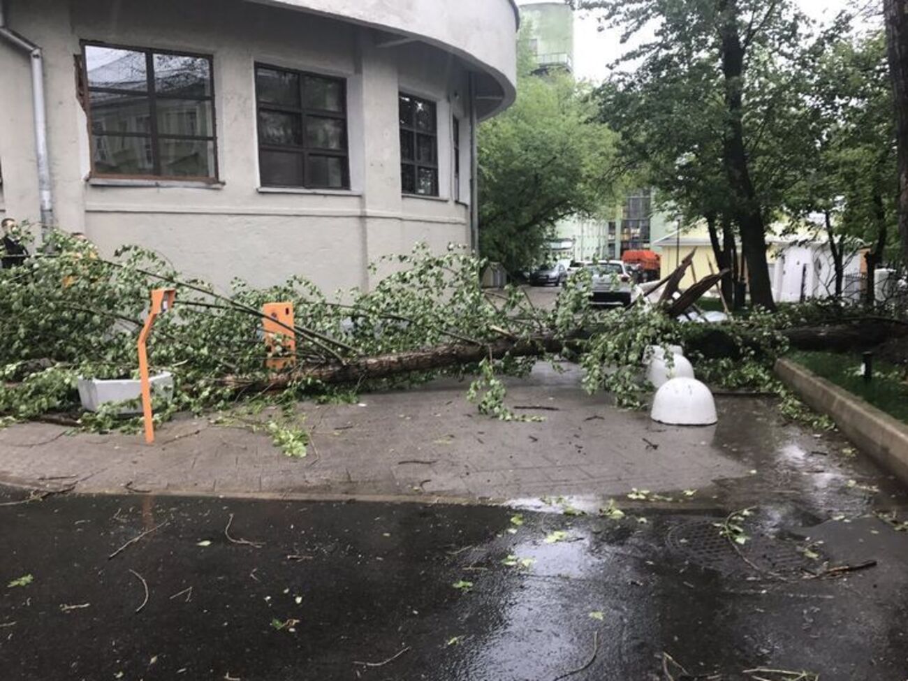 У Москві повалено безліч дерев