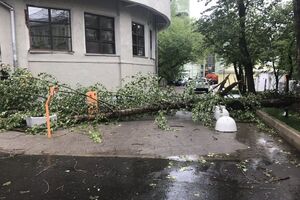 У Москві повалено безліч дерев