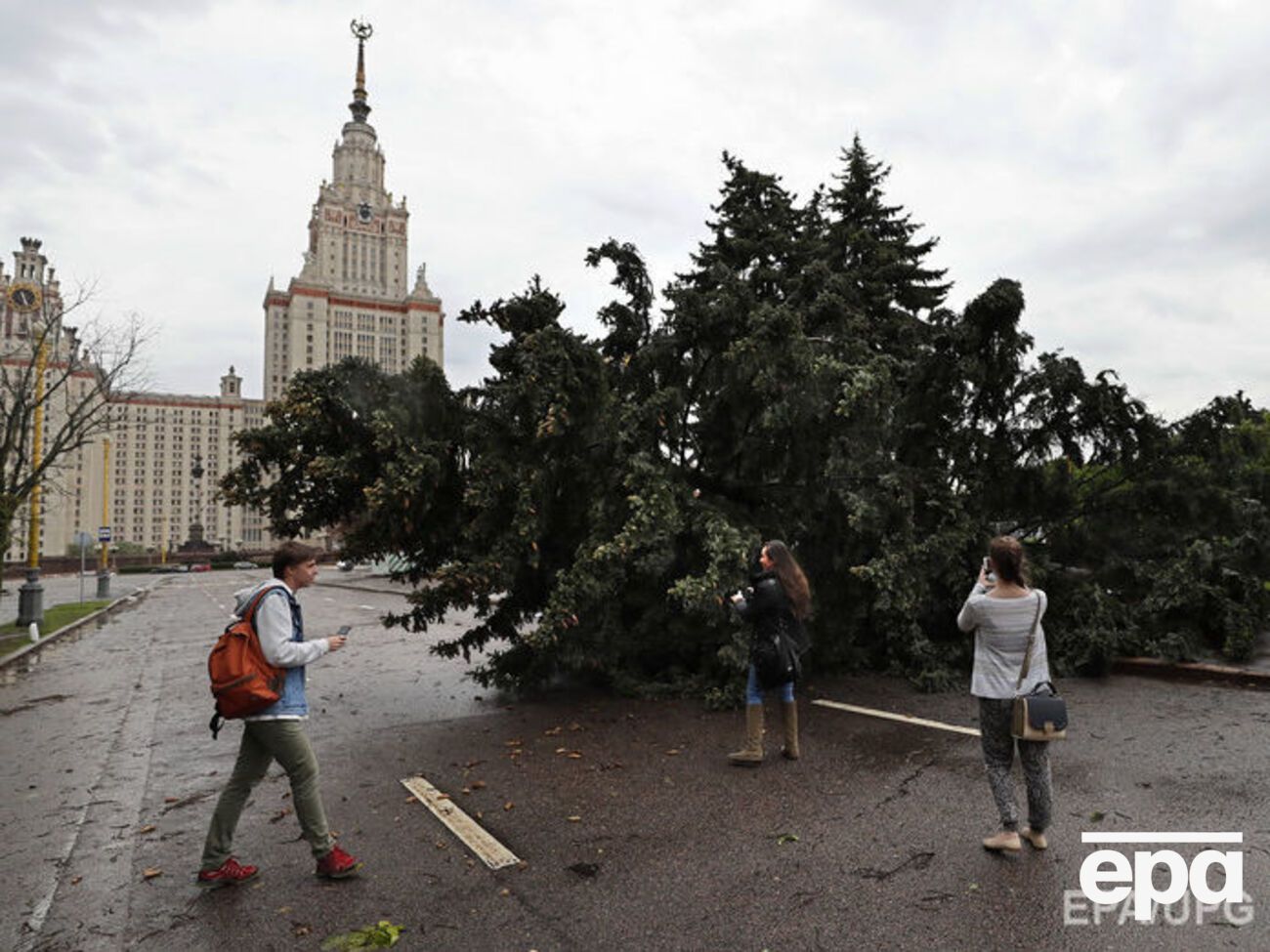 Повалено 3,5 тыс. деревьев